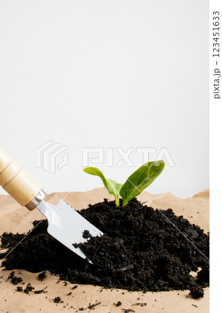 Gardening basics. Young plant seedling with trowel in rich soil 123451633