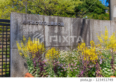 千葉県 柏市 あけぼの山農業公園 ふるさと広場 千葉県 柏市 あけぼの山農業公園 ふるさと広場 123451749