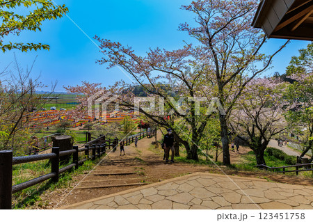 千葉県　柏市　あけぼの山農業公園　展望台 123451758