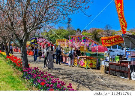 千葉県　柏市　あけぼの山農業公園のチューリップと屋台 123451765