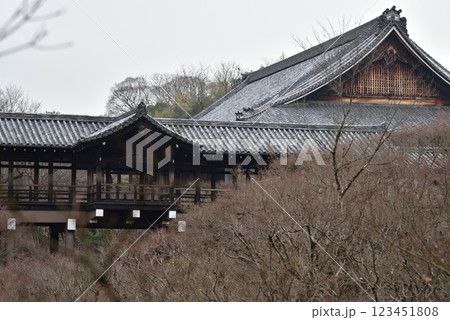 冬の東福寺 臥雲橋から見る通天橋(京都市東山区) 冬の東福寺 臥雲橋から見る通天橋(京都市東山区) 123451808