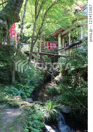 龍蔵寺の橋 龍蔵寺の橋 123451867
