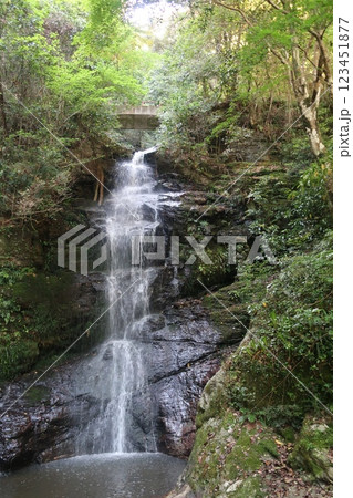 龍蔵寺の滝 龍蔵寺の滝 123451877