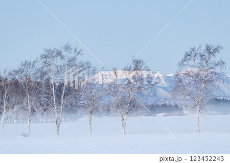 冬の十勝平野 冬の十勝平野 123452243
