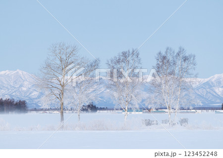 冬の十勝平野 123452248