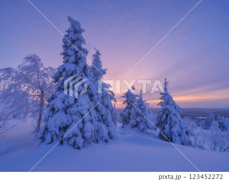 Lapland, Finland. Winter landscape during sunset. Trees covered with snow. Winter wonderland Lapland, Finland. Winter landscape during sunset. Trees covered with snow. Winter wonderland 123452272