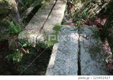 龍蔵寺の石橋 龍蔵寺の石橋 123452427