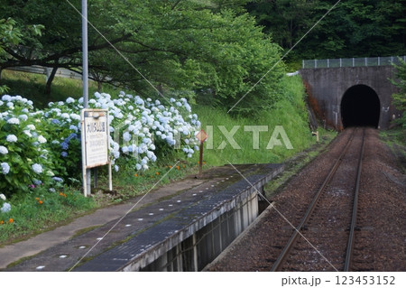 会津鉄道からの車窓風景　大川ダム公園駅 123453152