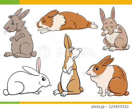 funny cartoon miniature rabbits animal characters set funny cartoon miniature rabbits animal characters set 123453522