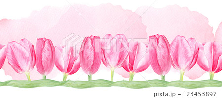 Tulip seamless watercolor border on pink watercolor background. Hand painted pink flower illustration. High quality art perfect for mother's, women's day cards, perfume, packaging, decor, eco design 123453897