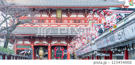 「東京都」宝蔵門の風景・浅草浅草寺 「東京都」宝蔵門の風景・浅草浅草寺 123454008