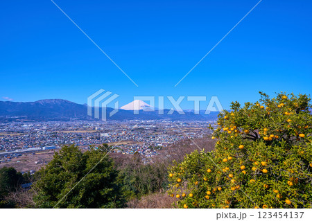 神奈川県小田原市曽我の市街地の眺望(小田原市,富士山,矢倉岳など) 123454137