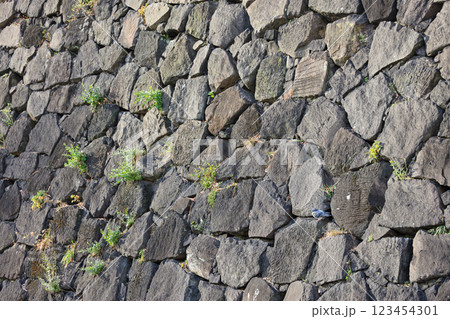 積まれた古い石垣 積まれた古い石垣 123454301