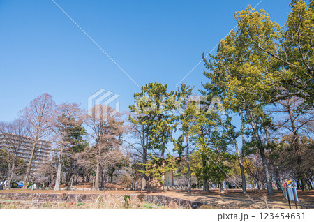 膳所城跡公園　滋賀県大津市 123454631