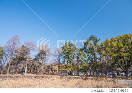 膳所城跡公園　滋賀県大津市 123454632