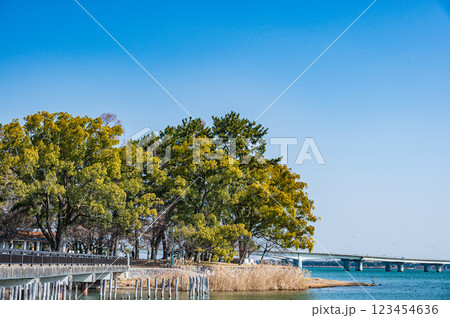 膳所城跡公園　滋賀県大津市 123454636