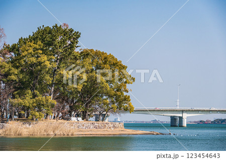 膳所城跡公園 滋賀県大津市 膳所城跡公園 滋賀県大津市 123454643