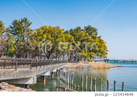 膳所城跡公園　滋賀県大津市 123454646