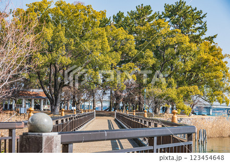 膳所城跡公園　滋賀県大津市 123454648
