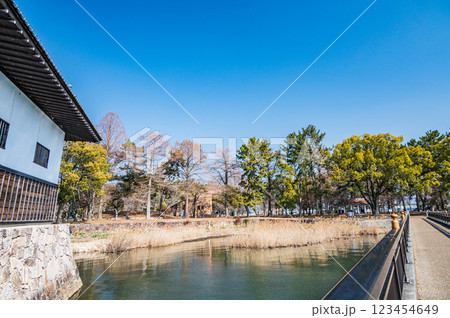 膳所城跡公園　滋賀県大津市 123454649