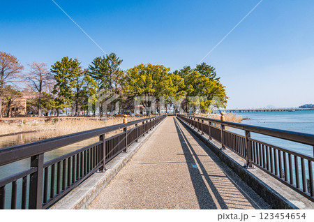 膳所城跡公園　滋賀県大津市 123454654