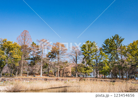 膳所城跡公園　滋賀県大津市 123454656