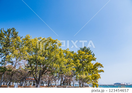 膳所城跡公園 滋賀県大津市 膳所城跡公園 滋賀県大津市 123454657