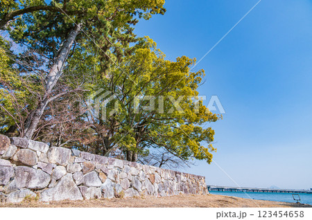 膳所城跡公園　滋賀県大津市 123454658