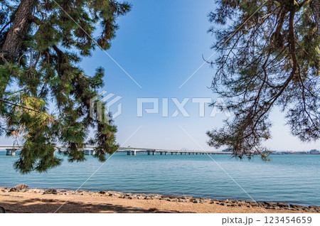 膳所城跡公園　滋賀県大津市 123454659