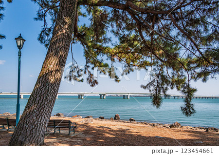 膳所城跡公園　滋賀県大津市 123454661