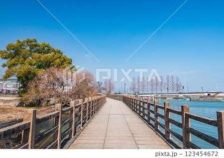 膳所城跡公園　滋賀県大津市 123454672