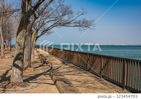 琵琶湖岸なぎさ公園 大津市 琵琶湖岸なぎさ公園 大津市 123454703