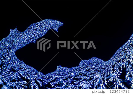 結晶　ビタミンC 123454752