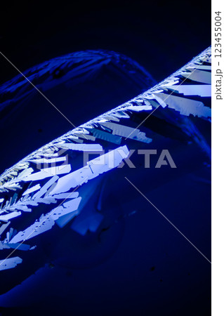 結晶 クエン酸 結晶 クエン酸 123455004