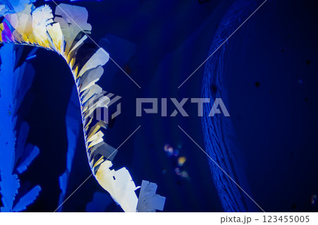 結晶 クエン酸 結晶 クエン酸 123455005