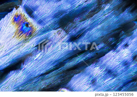 結晶　ビタミンC 123455056