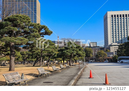 【東京都千代田区】皇居外苑の自然と都市風景 123455127