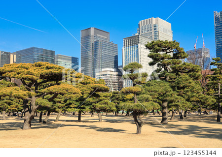 【東京都千代田区】皇居外苑の自然と都市風景 123455144