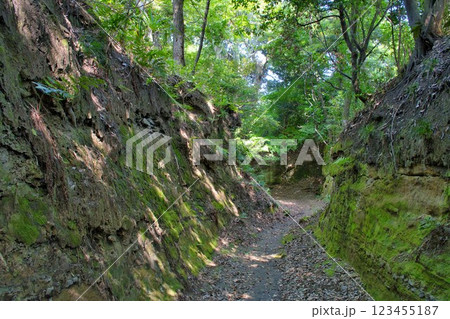 【鎌倉市】高野の切通し（大船の切通し） 123455187