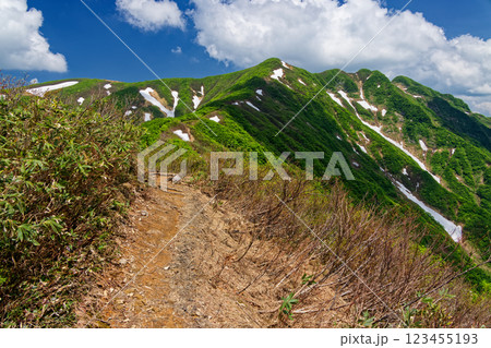 大白川からの登山道から見る初夏の守門岳山頂 123455193