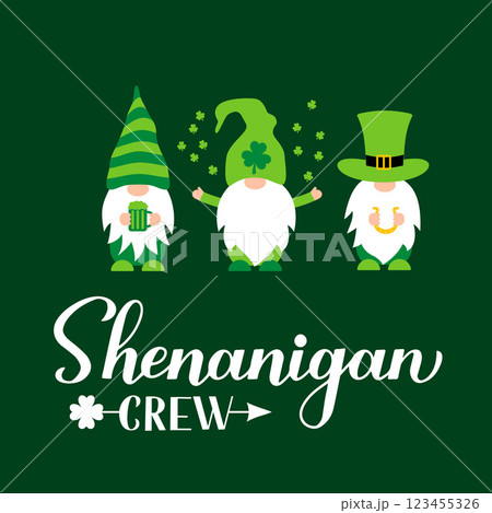 Shenanigan crew calligraphy hand lettering. Cute cartoon Gnomes. Funny St. Patricks Day quote.. Vector template for greeting card, poster, banner, flyer, etc. 123455326