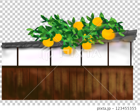 手繪的舊房子牆壁和夏季柑橘樹插圖 123455355