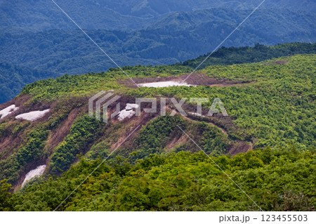 守門岳山頂から見る新緑の大白川からの登山道 123455503