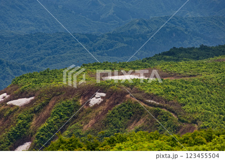 守門岳山頂から見る新緑の大白川からの登山道 123455504