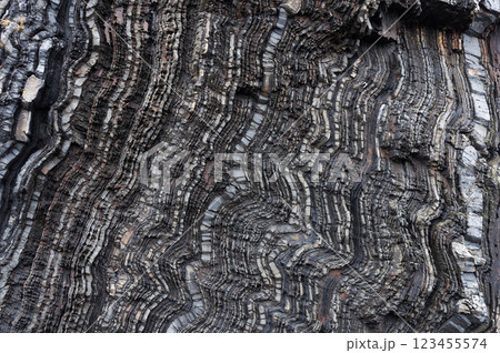 Texture of layered black rock 123455574