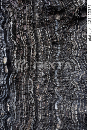 Texture of layered black rock 123455575