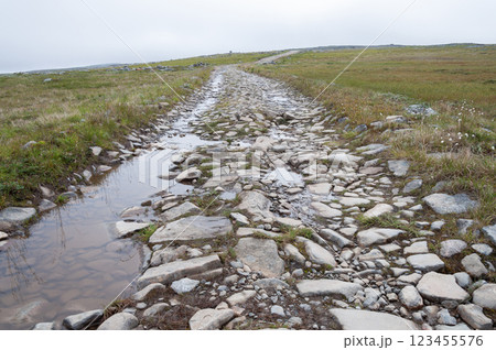 Rocky road with paddles in tundra Rocky road with paddles in tundra 123455576