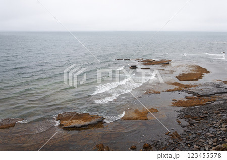 Coastal flat rocks covered with seaweed Coastal flat rocks covered with seaweed 123455578