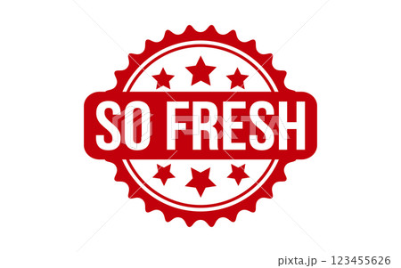 So Fresh rubber grunge stamp seal vector 123455626