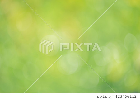 Defocused green background with bright defocus lights. Bokeh, abstract natural background. 123456112